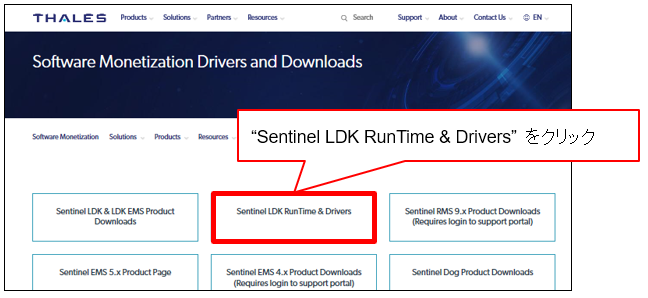 sentinel ldk run-time environment